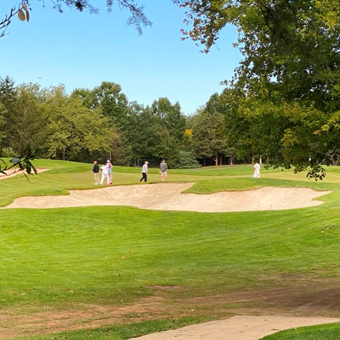 Fall Golf