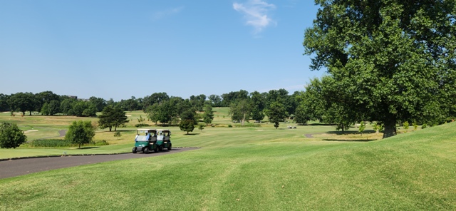 Summer Golf