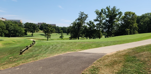 Summer Golf